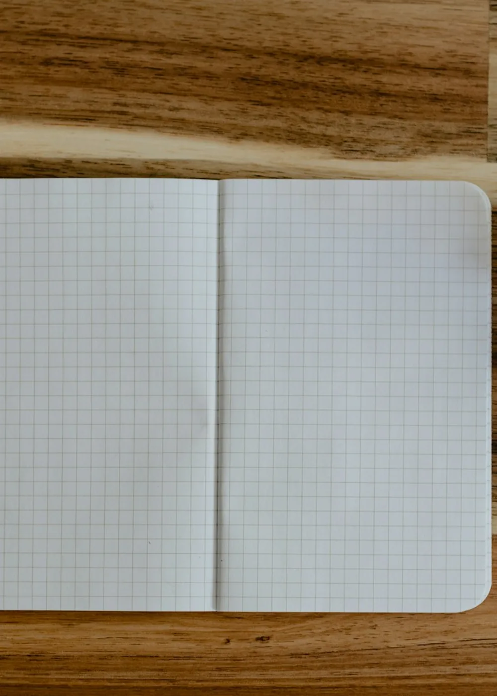 An open blank notebook and pencil beside a small succulent plant on a wooden table.