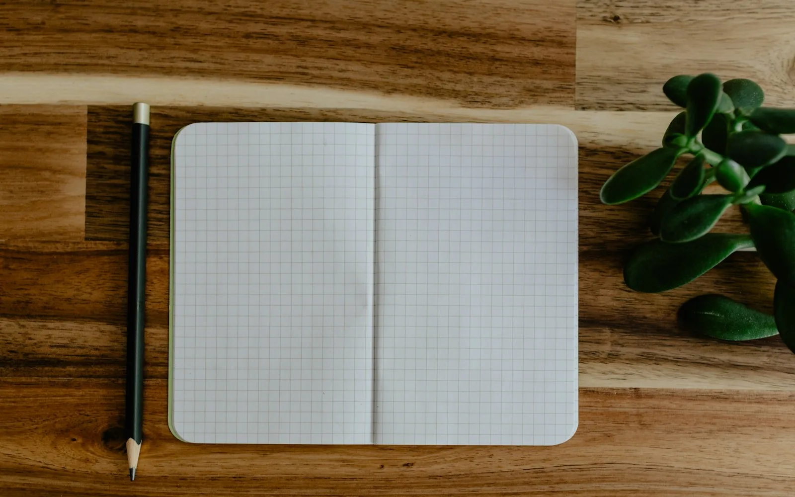 An open blank notebook and pencil beside a small succulent plant on a wooden table, seen from above.